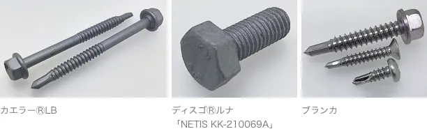 カエラーⓇLB／ディスゴⓇルナ「NETIS KK-210069A」／ブランカ の写真
