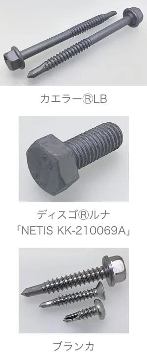 カエラーⓇLB／ディスゴⓇルナ「NETIS KK-210069A」／ブランカ の写真