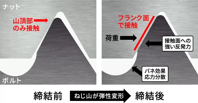 ねじ山が弾性変形